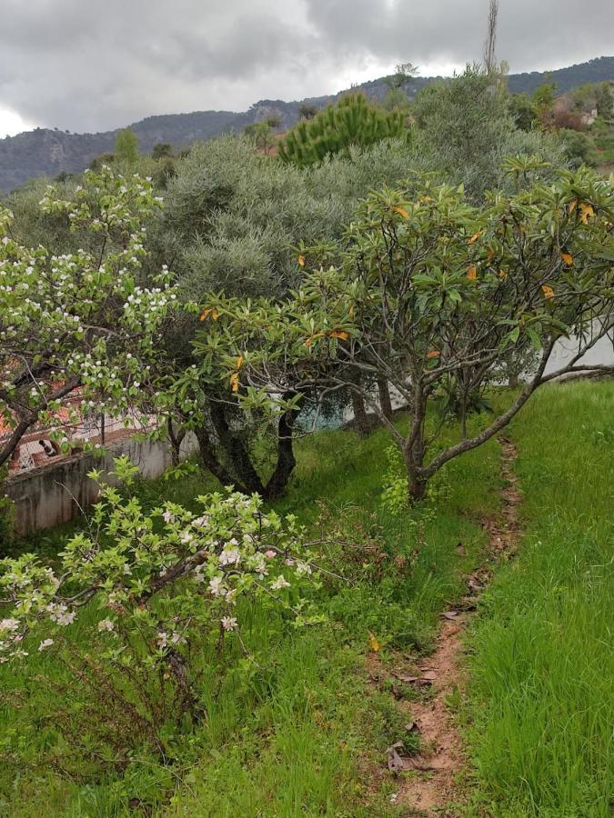 Villa Casa Jabero Nívar Esterno foto